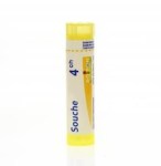 Mercurius Solubilis 4CH Tube Granules